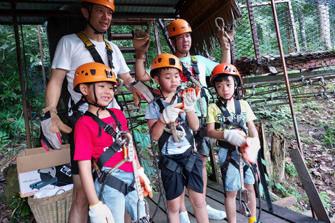 From Koh Samui: Tree Bridge Zipline and Café Experience