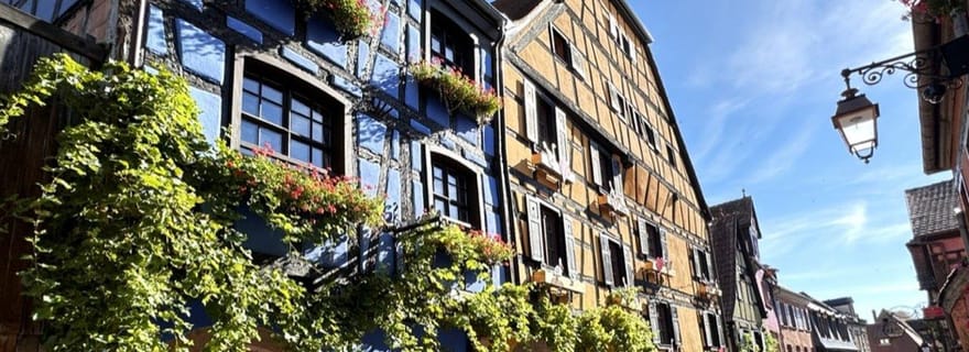 Depuis Colmar : Excursion privée villages & vins d’Alsace avec guide local