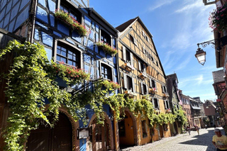 From Colmar: Private excursion to Alsace villages and wines with a local guide