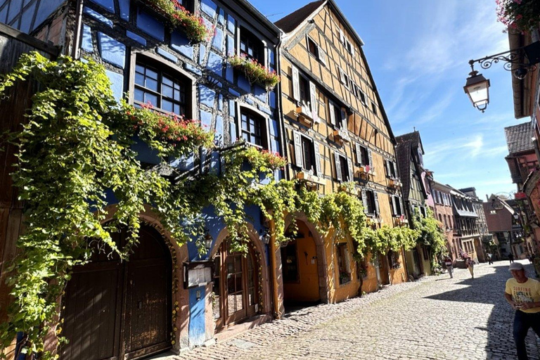 Desde Colmar: Excursión privada a los pueblos y vinos de Alsacia con guía local.Desde Colmar: Excursión privada por los pueblos y viñedos de Alsacia con guía local