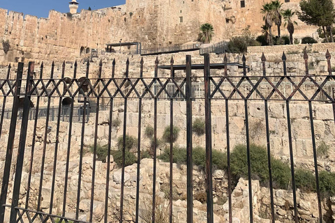 Jerusalem: Old City 3 Hours Circle Walking TourJerusalem: Old City 3 Hours Private Circle Walking Tour
