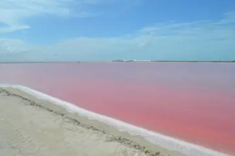 Las Coloradas + Rio Lagartos Private TourGruppe von 3 Personen