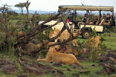 8-Daagse Kenia Beste Wildlife Safari & Diani Strandvakantie