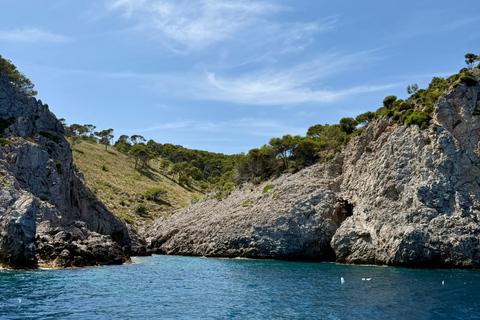 Can Picafort: Boat Trips along Mallorca's North Coast Cap Menorca