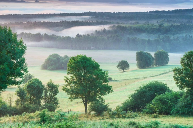 Praga: excursión de un día al Parque Nacional de la Suiza Bohemia y SajonaExcursión invernal a la Suiza bohemia y sajona desde Praga