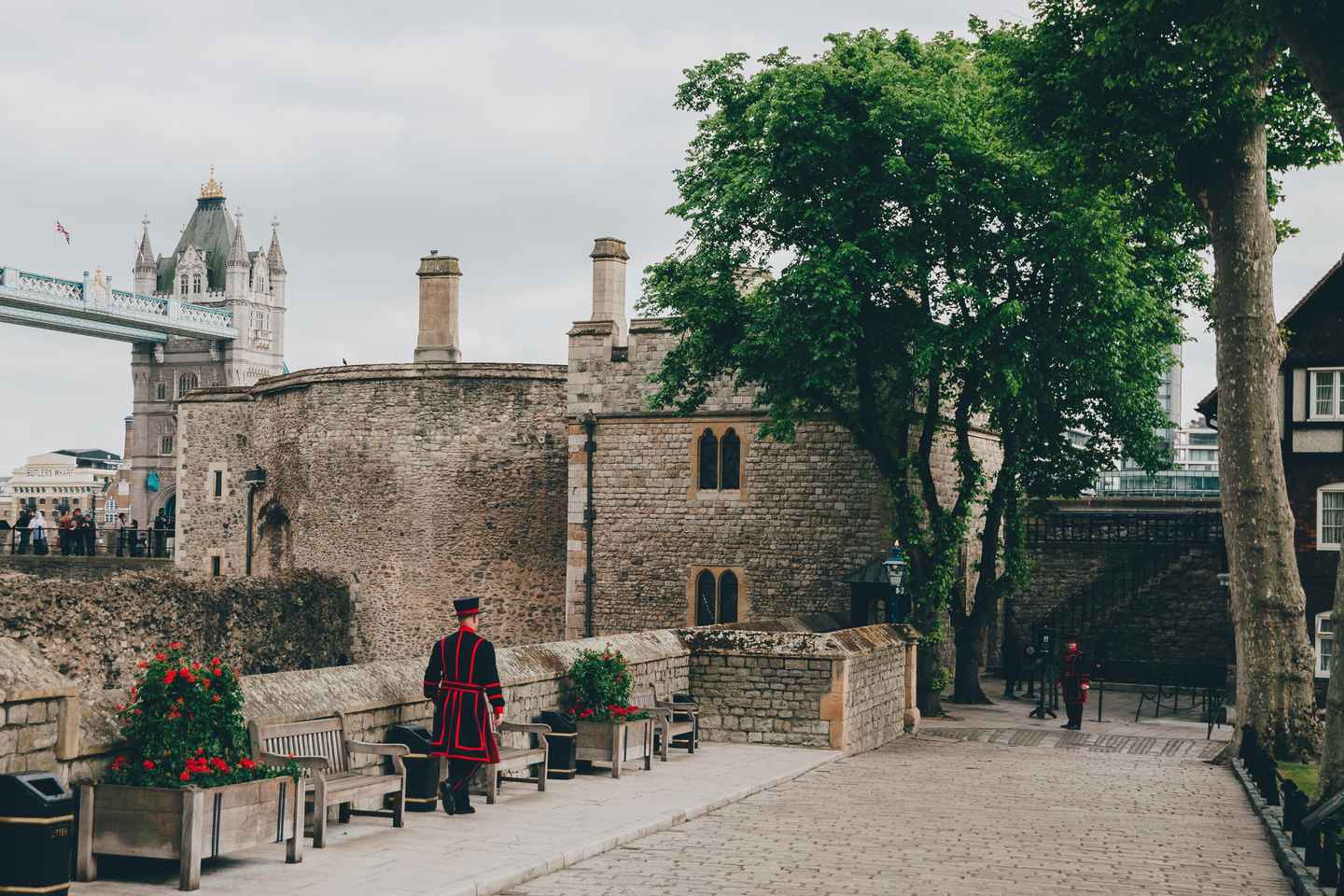 Londres : Visite Matinale Tour de Londres et Pont