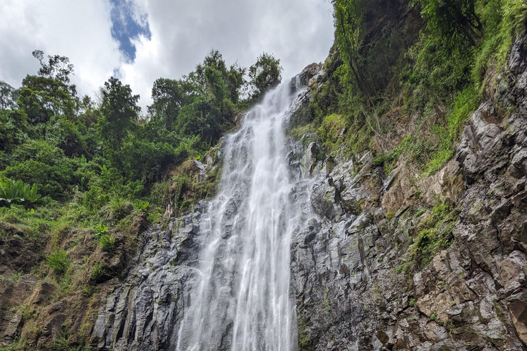 Moshi: Materuni Wasserfall und Kaffee Tour Gruppentour