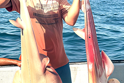 Djerba: Fast Boat Excursion to Zarzis and Dolphin Watching 90-minute Djerba-Zarzis fast boat day trip and dolphin watching