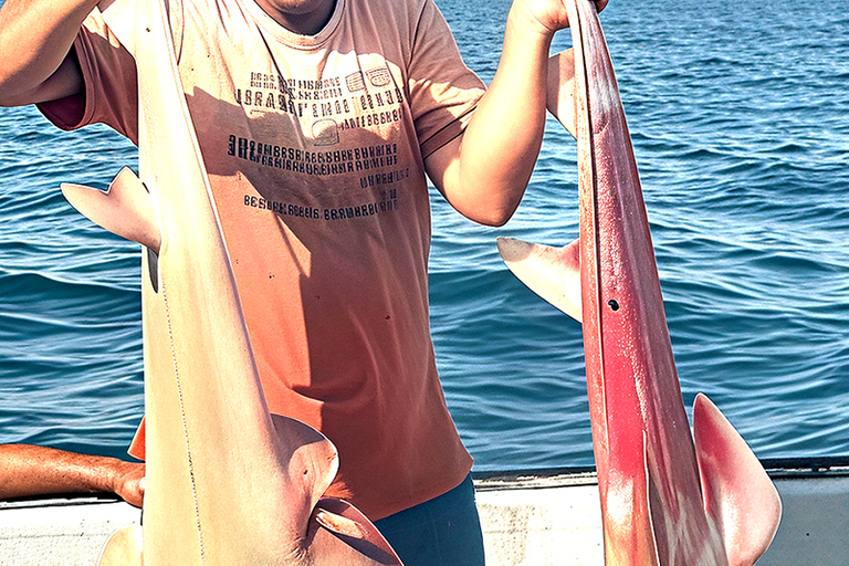 Djerba: Fast Boat Excursion to Zarzis and Dolphin Watching 90-minute Djerba-Zarzis fast boat day trip and dolphin watching