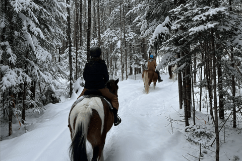 Starks: Guided Horseback Ride Through the Maine Countryside