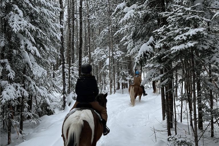 Starks: Guided Horseback Ride Through the Maine Countryside