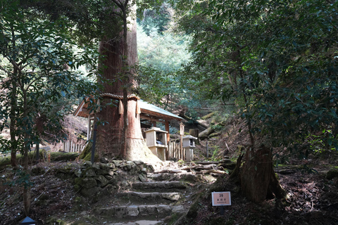 Kyoto Customisable Private Tour with a Local Guide