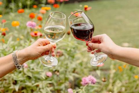 Nashville: Andrew Jackson’s Hermitage Entry & Audio Guide