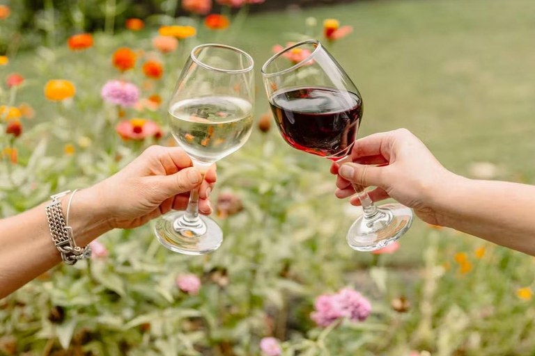 Nashville: Andrew Jackson’s Hermitage Entry & Audio Guide