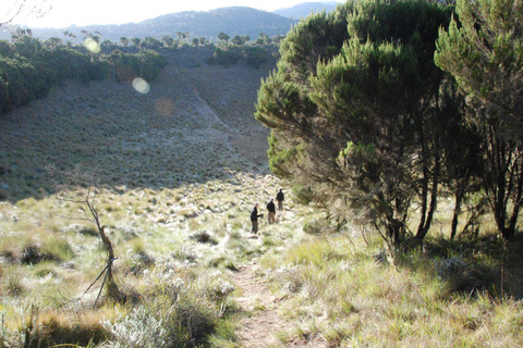 Mount Kilimanjaro one day hike to base camp for small group