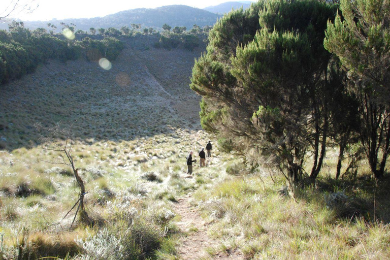 Kilimandscharo Tageswanderung zum Basislager für eine kleine Gruppe