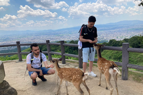 Osaka & Nara: Must-see Spots Full Day Tour with Hotel Pickup