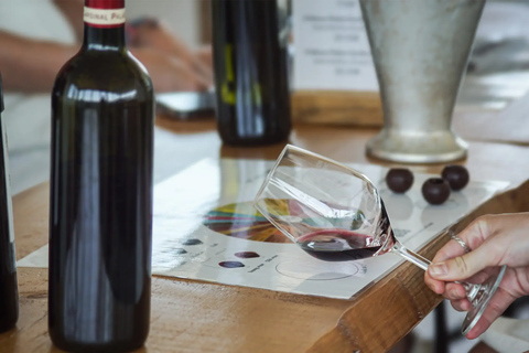 Tour & tasting of a Saint-Émilion Grand Cru Tour and tasting of a Saint-Émilion Grand Cru