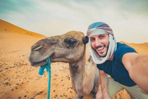 Safari por el desierto de Doha: Conducción en dunas, paseo en camello y Sandboarding