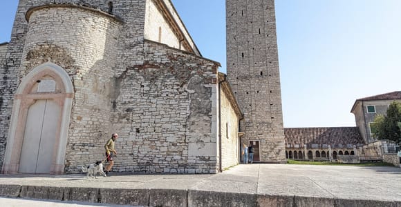 From Lake Garda: Valpolicella Tour and wine Tasting