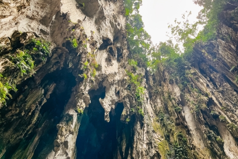 Kuala Selangor : grottes de Batu et observation de luciolesOption standard
