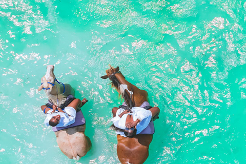 Zanzibar: Horse Riding and Kayaking with Video and Photos