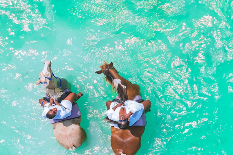 Zanzibar: Horse Riding and Kayaking with Video and Photos