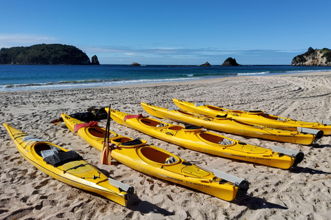 Nueva Zelanda: Excursión guiada de 17 días por la Isla Norte con acampada