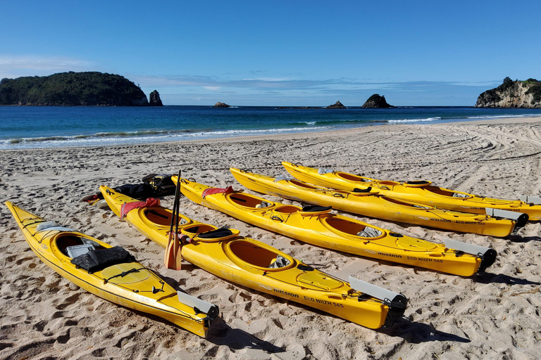 New Zealand: Guided 17-Day North Island Tour with Camping