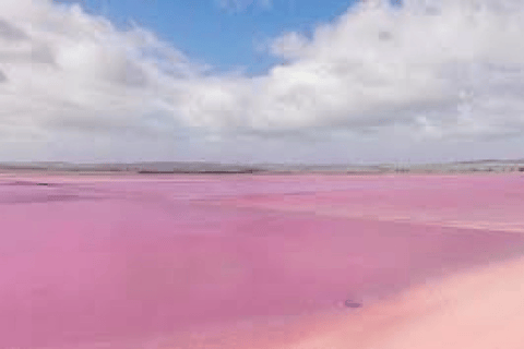 Adelaide Highlights: Wine, Whispering Wall & Pink Lake Tour