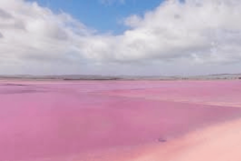 Adelaide Highlights: Wine, Whispering Wall & Pink Lake Tour