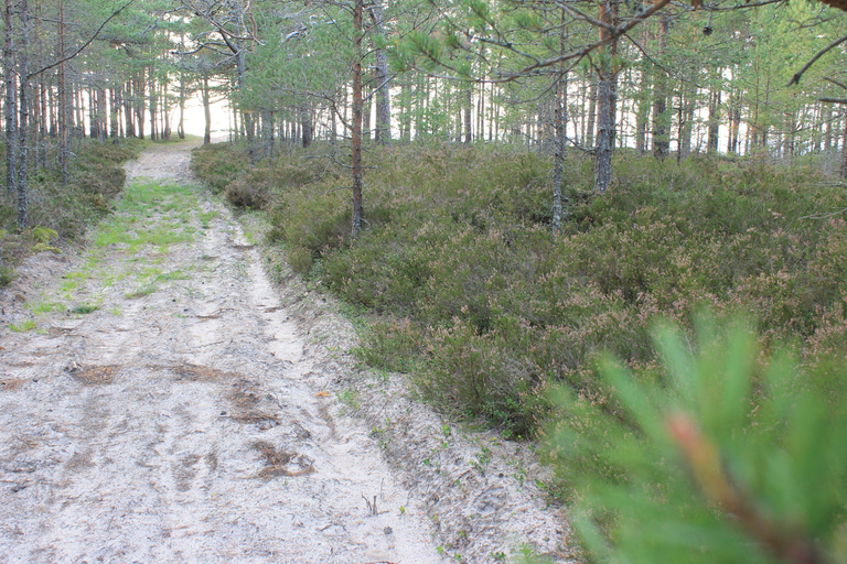 From Riga: Budget Day Trip to Kolka in Zen style!