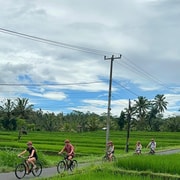Ubud: Cycling Tour Through Local Villages, Temple, and Rice Field Ubud: Cycling Tour Through Local Villages, Temple, and Rice Field