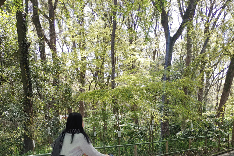 Kioto:Recorrido en Bicicleta por los Tres Jardines