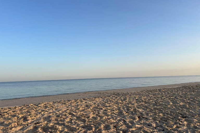 Doha: Desert Safari & City Tour from Hotel or Airport 6 Hour Sharing Tour