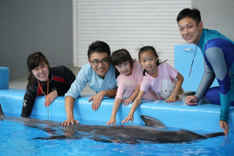 Hong Kong: Ocean Park Meet the Dolphin Unique Experience