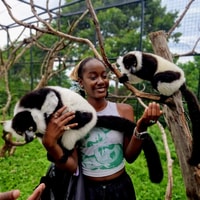 1天激动的野生动植物在坎帕拉（Kampala） - Housity