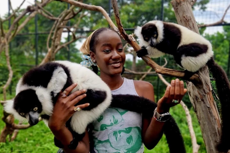 1-Tages-Exkursion in Kampala mit spannenden Wildtieren aus nächster Nähe1-tägige spannende Wildlife upclose Exkursion in kampala