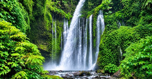 Lombok: Sendang Gile, Tiu Kelep Waterfall & Monkey Forest