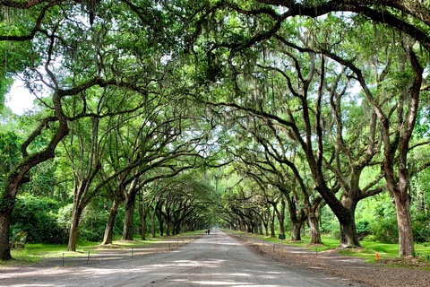 Savannah History Guided Open Air Cruiser Tour - Free Parking Savannah History Guided Open Air Minibus Tour - Free Parking