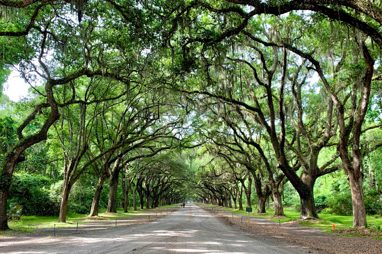 Savannah History Guided Open Air Cruiser Tour - Free Parking Savannah History Guided Open Air Minibus Tour - Free Parking