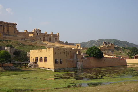 Jaipur: Half-Day Tour Amer Fort, Jal Mahal & Stepwell