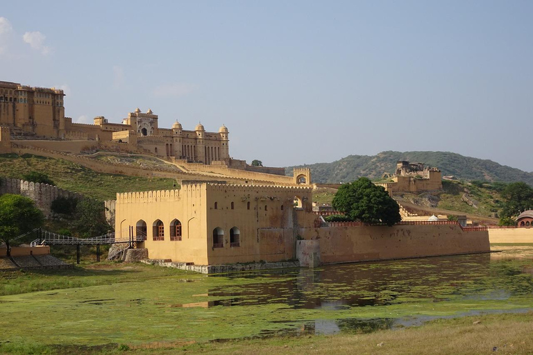 Jaipur: Excursão de meio dia ao Forte Amer, Jal Mahal e Stepwell