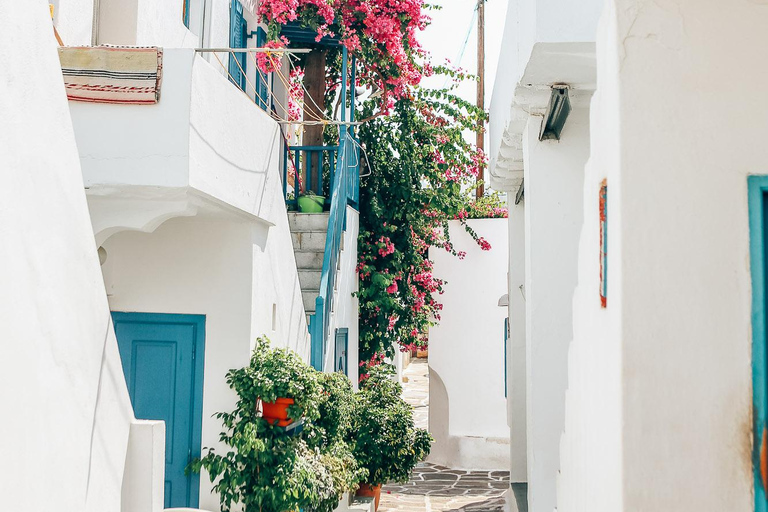 Comidas e bebidas tradicionais com uma rapariga de MykonianPasseia com um habitante local nas ruelas de Mykonos