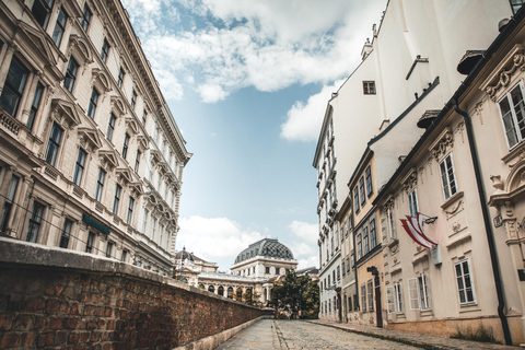 Tour privato 2 in 1 dei musei ebraici di Vienna con trasferimenti