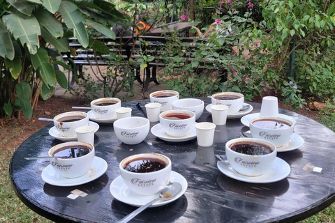 Kiambu: Fairview Estate Coffee Farm Tour with Tasting