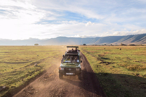 Ngorongoro krater; Safari vanuit Zanzibar inclusief vluchtenNgorongoro Krater; 2 Dagen Lodge Safari met vluchten