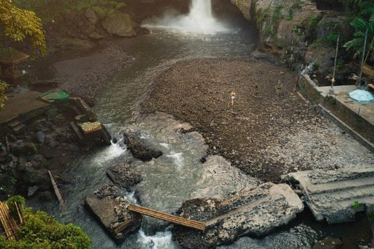 Ubud: Danza Barong, Tempio, Terrazza del Riso e CascataTour privato di Ubud senza biglietti d&#039;ingresso