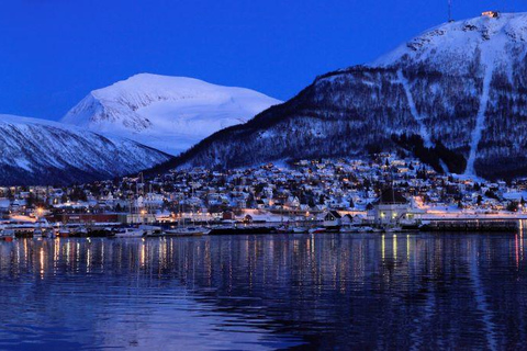Tromsø: Classic arctic fjord cruise with lite lunch