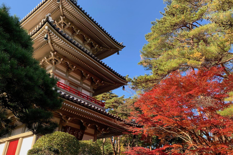 From Tokyo: Nikko Toshogu Shrine and Lake Chuzenji Day Trip Private Sightseeing Tours